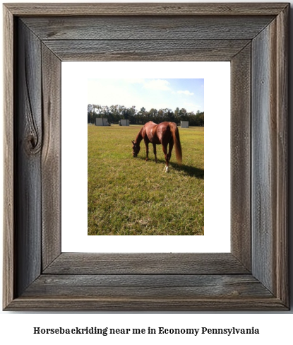 horseback riding near me in Economy, Pennsylvania